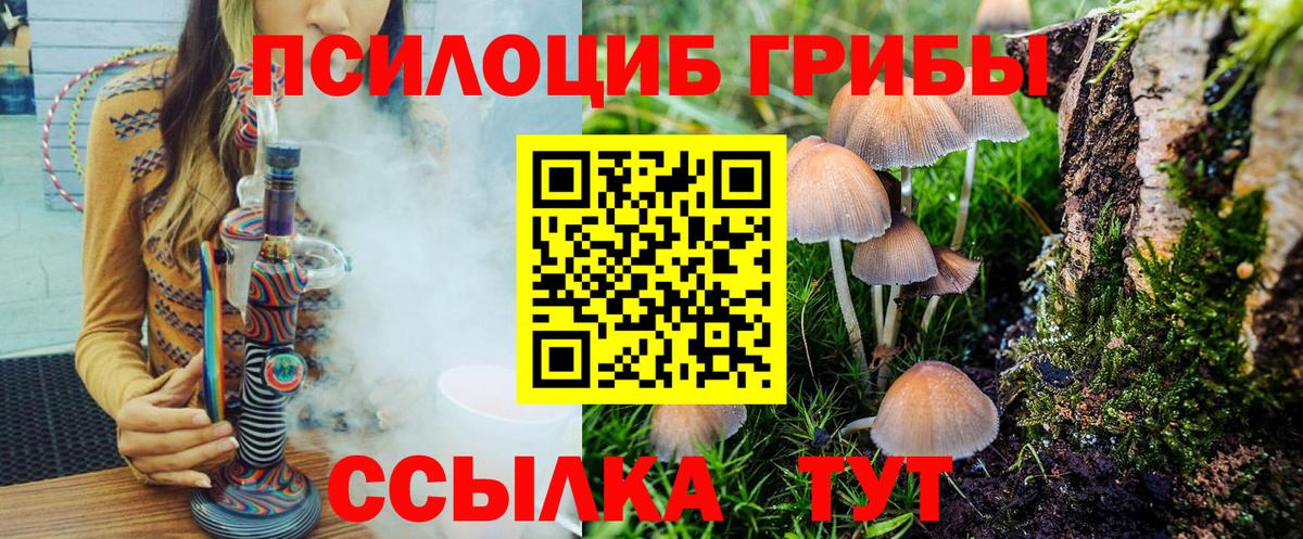 Галлюциногенные грибы прущие грибы  Вход с VPN  Великий Новгород 