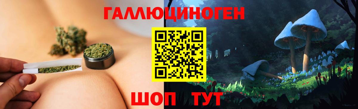 Галлюциногенные грибы прущие грибы Великий Новгород